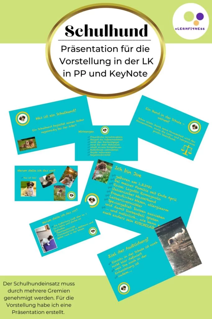Einsatz eines Schulhundes - Präsentation Keynote und PowerPoint zur Vorstellung in der Lehrerkonferenz - Eduki Arbeitsmaterial für Lehrerin + Lehrer mit Schulhund
