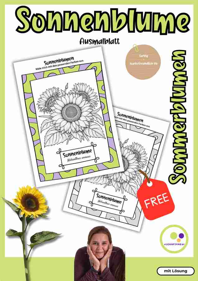Sonnenblume Ausmalblatt kostenlos auf Eduki – Sommerblumen Malvorlage mit Lösung (Helianthus annuus) von Lernfitness