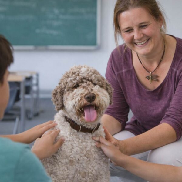 Schulhund einführen – strukturierter Einsatz im Schulalltag. Lehrerin mit Schulhund Lagotto Romagnolo und Schülerinnen und Schülern