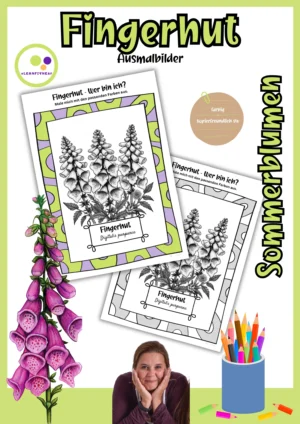Deckblatt der Fingerhut-Ausmalbilder, Digitalis purpurea, farbig und kopierfreundlich schwarz-weiß