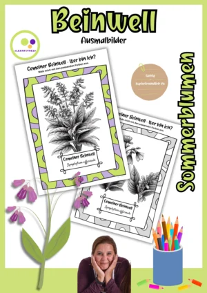 Deckblatt der Gemeiner Beinwell-Ausmalbilder, Symphytum officinale, farbig und kopierfreundlich schwarz-weiß