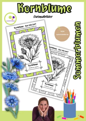 Deckblatt der Kornblume-Ausmalbilder mit farbigem und schwarz-weißem Rahmen, Centaurea cyanus