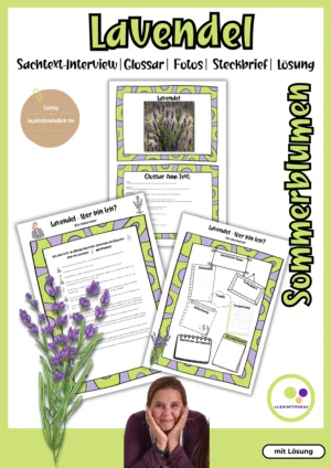 Deckblatt zum Lavendel-Interview mit Glossar, Fotos und Steckbrief