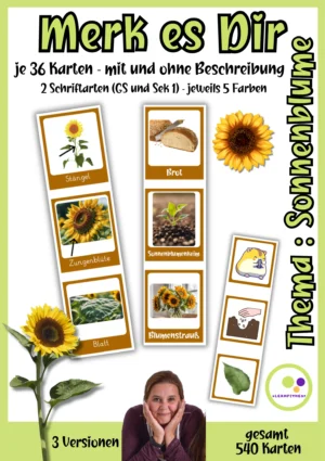 Originalcover des Sonnenblumen-Paarespiels Merk es Dir mit Kartenbeispielen