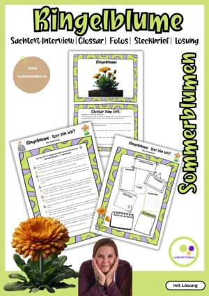 Deckblatt zum Ringelblumen-Interview mit Glossar, Fotos und Steckbrief