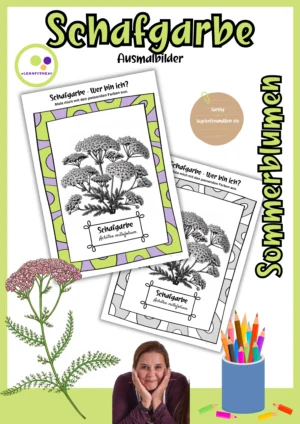 Deckblatt der Schafgarbe-Ausmalbilder, Achillea millefolium, farbig und kopierfreundlich schwarz-weiß
