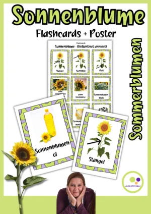 Deckblatt mit Sonnenblumen-Flashcards und Postern