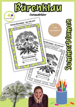 Deckblatt der Wiesen-Bärenklau-Ausmalbilder, Heracleum sphondylium, farbig und kopierfreundlich schwarz-weiß
